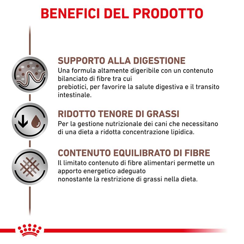 Benefici principali Royal Canin Gastrointestinal Low Fat cane: alta digeribilità, supporto intestinale e basso contenuto di grassi Benefici principali Royal Canin Gastrointestinal Low Fat cane: alta digeribilità, supporto intestinale e basso contenuto di grassi